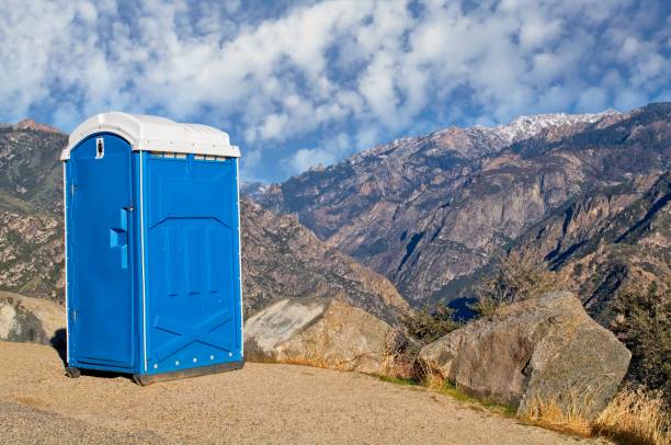 Best Sanitation services for porta potties  in Old Bethpage, NY